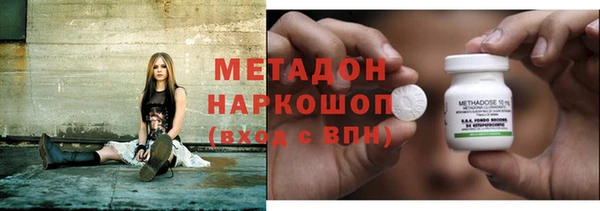 прущие грибы Краснослободск