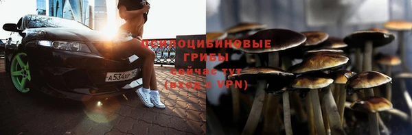 винт Костерёво