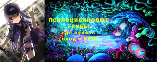 мяу мяу мука Корсаков