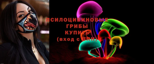 винт Костерёво