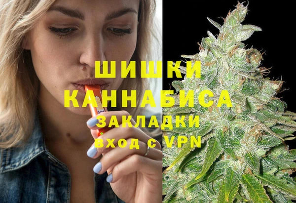 винт Костерёво
