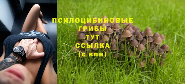 винт Костерёво