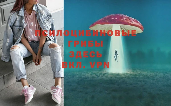 винт Костерёво