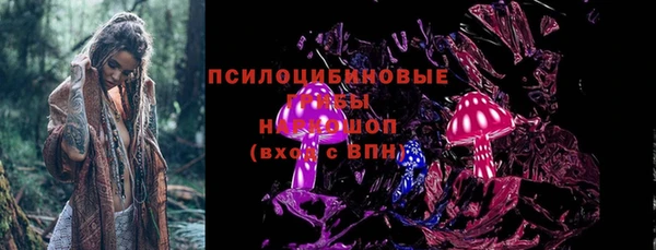 прущие грибы Краснослободск