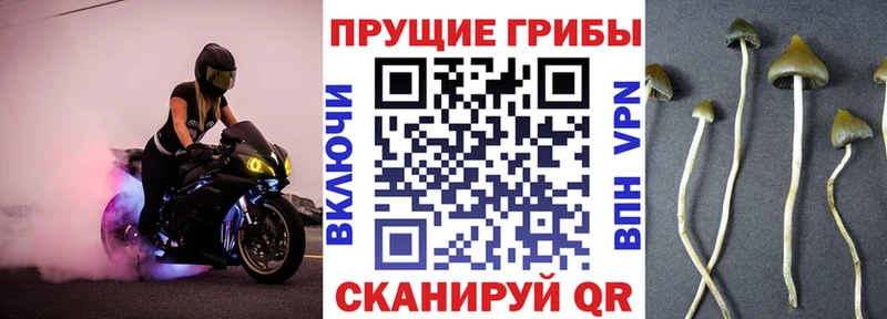 Галлюциногенные грибы мицелий  ссылка на мегу ТОР  Окуловка 